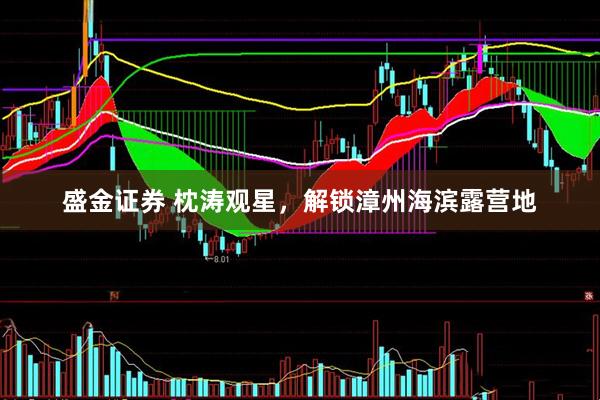 盛金证券 枕涛观星，解锁漳州海滨露营地