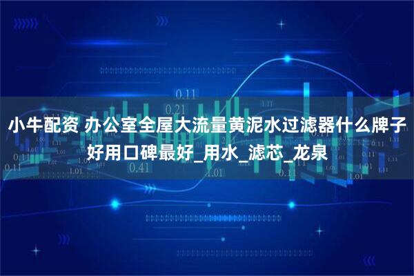 小牛配资 办公室全屋大流量黄泥水过滤器什么牌子好用口碑最好_用水_滤芯_龙泉