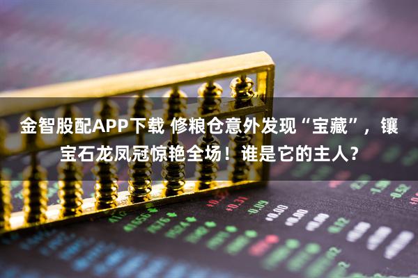金智股配APP下载 修粮仓意外发现“宝藏”,镶宝石龙凤冠惊艳全场!谁是它的主人?